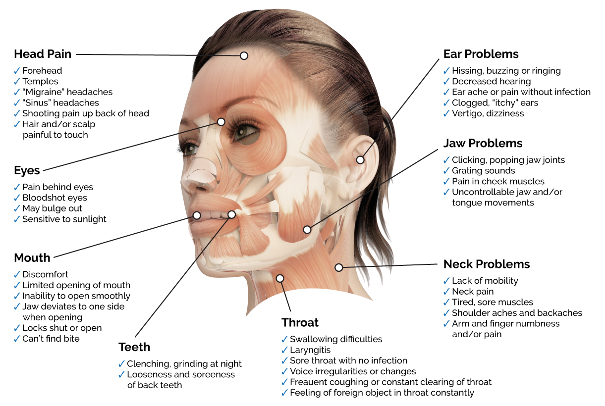 Temporomandibular joint (TMJ) anatomy diagram